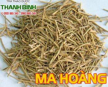 Cách sử dụng ma hoàng trong điều trị bệnh tiểu đường tốt nhất