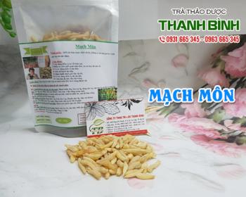 Mua bán mạch môn ở đâu tại hà nội uy tín chất lượng nhất ?