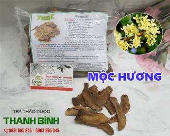 Cách sử dụng mộc hương điều trị viêm gan kèm vàng da hiệu quả nhất