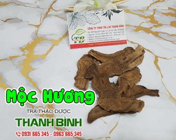 Mua bán mộc hương tại quận cầu giấy có tác dụng điều trị viêm cầu thận