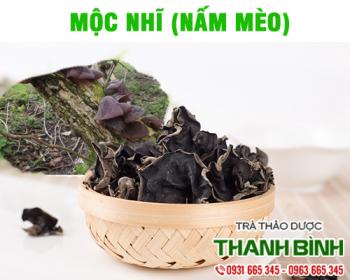 Mua bán mộc nhĩ tại huyện mê linh hỗ trợ điều trị xơ vữa động mạch