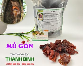 Mua bán mủ gòn tại huyện mê linh hỗ trợ cải thiện hệ tiêu hóa rất tốt