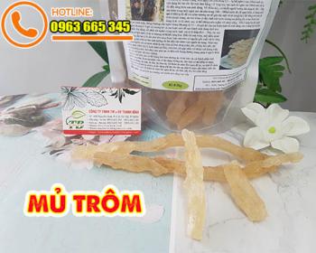 Mua mủ trôm ở đâu tại tphcm ???