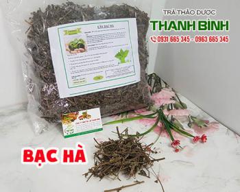 Mua bạc hà ở đâu tại tphcm?
