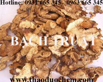 Mua bán củ bạch truật tại huyện gia lâm giúp điều trị đầy bụng khó tiêu