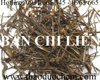 Mua bán bán chi liên tại huyện mỹ đức có tác dụng giảm đau an toàn