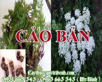 Mua bán cảo bản tại huyện hoài đức hỗ trợ điều trị đau bụng an toàn 