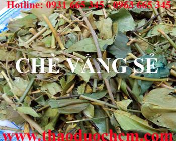 địa điểm bán chè vằng sẻ tại hà nội giúp giảm cân tiêu mỡ tốt nhất