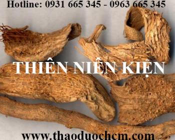 Mua bán thiên niên kiện tại quận hoàn kiếm giúp điều trị phong tê thấp