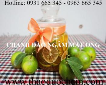 Mua bán chanh đào tại sơn tây giúp an thần tỉnh táo hiệu quả nhất