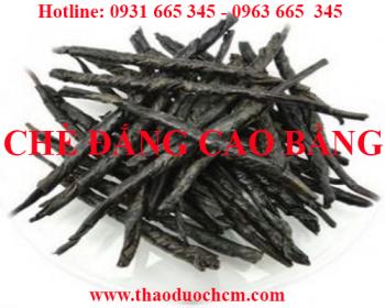 Mua bán chè đắng cao bằng tại huyện thanh trì giúp điều trị thoái hóa cột sống