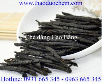 Mua bán chè đắng cao bằng ở quận tân phú giúp giải độc hiệu quả nhất