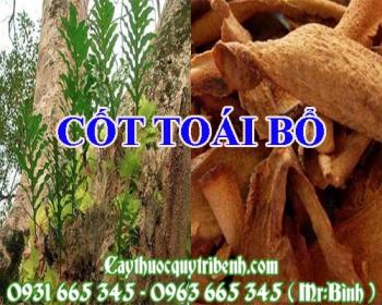 Mua bán cốt toái bổ tại huyện đông anh giúp điều trị tiêu chảy hiệu quả