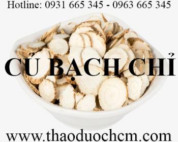 Mua bán củ bạch chỉ tại bình dương giúp điều trị ghẻ lở uy tín nhất
