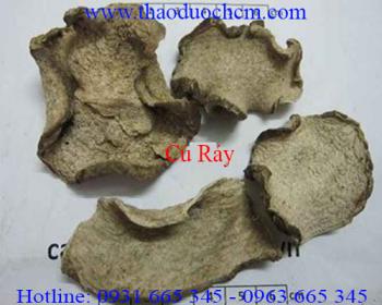 Mua bán củ ráy tại ninh thuận giúp chữa trị ngứa lá han an toàn tốt nhất