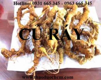 Mua bán củ ráy tại huyện sóc sơn có tác dụng giảm tê bại sưng phù chân tay