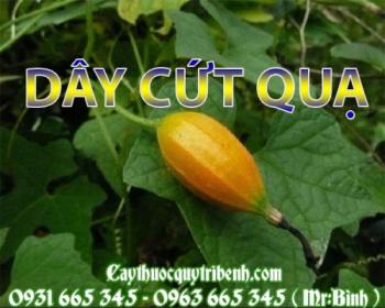 Mua bán dây cứt quạ tại quận 7 có tác dụng điều trị đau mắt rất tốt