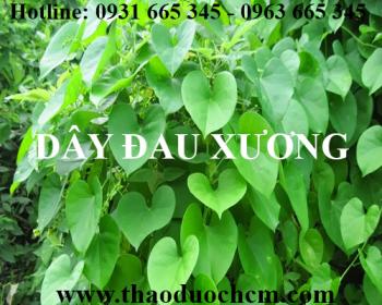 Mua bán dây đau xương tại huyện sóc sơn có tác dụng điều trị bong gân hiệu quả