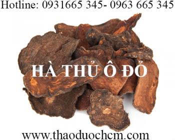 Mua bán hà thủ ô đỏ tại huyện gia lâm giúp tóc đỡ khô gãy rụng và làm đen tóc