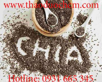 Mua bán hạt chia tại quận 8 có tác dụng bảo vệ tim mạch hiệu quả nhất