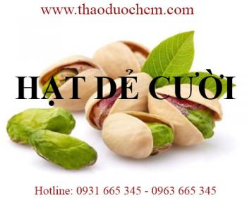 Mua bán hạt dẻ cười tại ninh thuận có tác dụng cung cấp vitamin khoáng chất