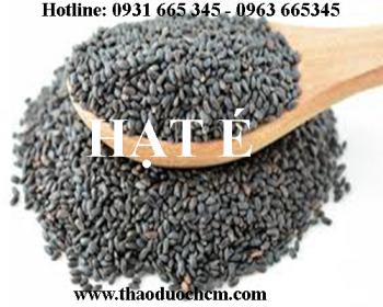 Mua bán hạt é tại bắc giang giúp giảm nguy cơ mắc các bệnh về tim mạch