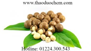 Mua bán hạt mắc ca ở ninh bình | hạt mắc ca giúp cho bé thông minh