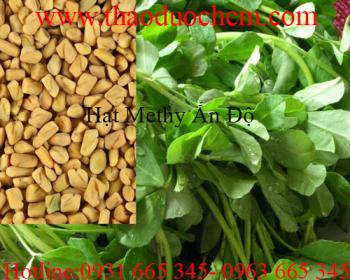 Mua bán hạt methi ấn độ tại vũng tàu giúp giảm nguy cơ mắc bệnh tim mạch