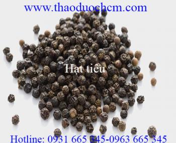 Mua bán hạt tiêu tại quận 3 có tác dụng điều trị đau răng hiệu quả nhất