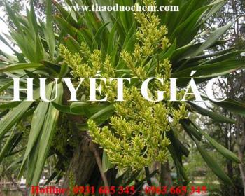 Mua bán huyết giác tại huyện phúc thọ có tác dụng bồi bổ máu cho cơ thể