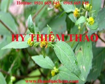 địa chỉ bán hy thiêm thảo trừ phong thấp tại hà nội uy tín nhất