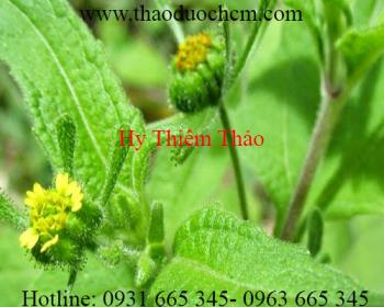 Mua bán hy thiêm thảo ở quận tân phú giúp chữa trị đau đầu cảm sốt