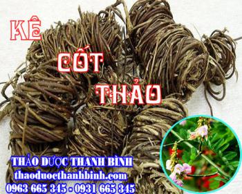 Mua bán kê cốt thảo tại nam định dùng để điều trị thanh lọc cơ thể
