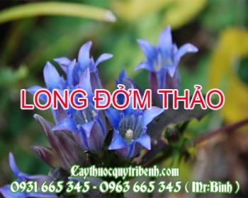 Mua bán long đởm thảo tại quận thanh xuân hỗ trợ nhuận tràng trị táo bón