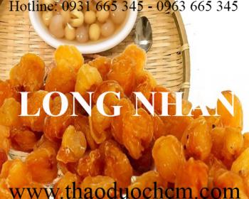 Mua long nhãn (nhãn nhục) giá rẻ uy tín chất lượng nhất ở đâu?
