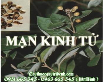 địa chỉ bán mạn kinh tử chữa chứng đau khớp uy tín chất lượng nhất
