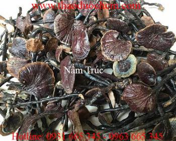 Mua bán nấm trúc tại quảng ngãi giúp chữa trị xơ gan hiệu quả nhất