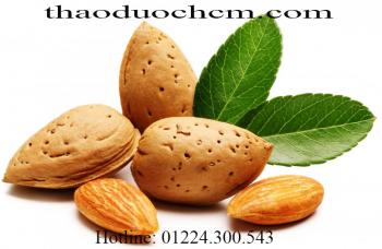 Mua bán quả hạnh nhân tại tiền giang giúp cải thiện sức khỏe hệ tiêu hóa