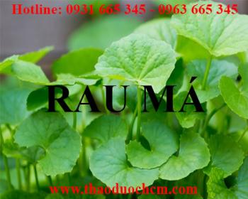 Mua bán rau má tại quận thanh xuân rất tốt trong việc điều trị mụn nhọt