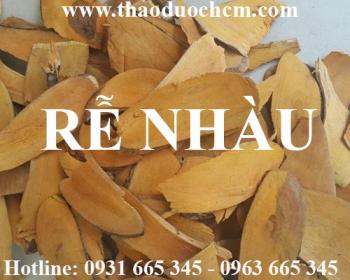 Mua bán rễ nhàu tại huyện thanh oai có tác dụng giảm đau nhức xương khớp