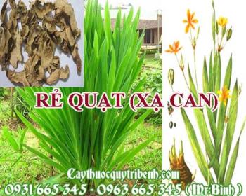 Mua bán rẻ quạt (xạ can) tại quận 6 giúp điều trị trướng bụng an toàn