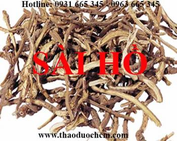 Mua bán sài hồ tại quận tây hồ giúp điều trị rối loạn kinh nguyệt uy tín