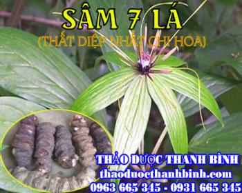 Mua bán sâm 7 lá (thất diệp nhất chi mai) tại sơn la có tác dụng chữa viêm phế quản