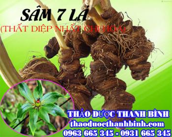 Mua bán sâm 7 lá (thất diệp nhất chi mai) tại bạc liêu rất tốt trong việc trị vết rắn cắn