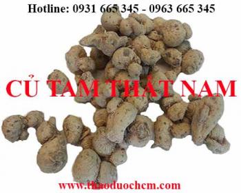 Mua bán củ tam thất nam tại huyện đông anh hỗ trợ trị phong thấp tốt nhất