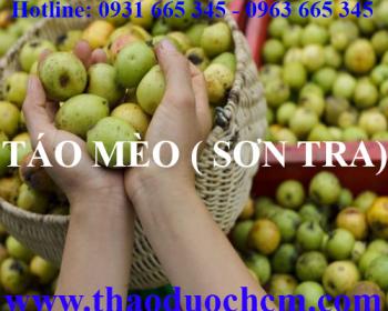 Mua quả táo mèo tại hà nội uy tín chất lượng tốt nhất