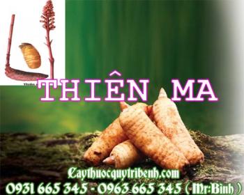 Mua bán thiên ma tại quận 1 có tác dụng điều trị đau đầu hoa mắt tốt nhất
