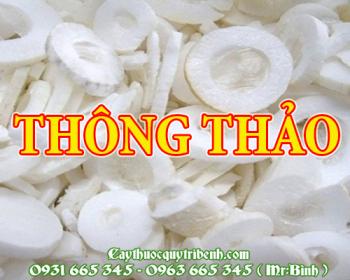 Mua bán thông thảo tại huyện mê linh giúp điều trị sốt khát nước rất hiệu quả
