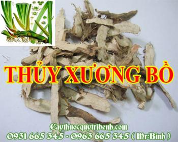 Mua bán thủy xương bồ ở huyện hóc môn có tác dụng trị cảm cúm ho rất tốt