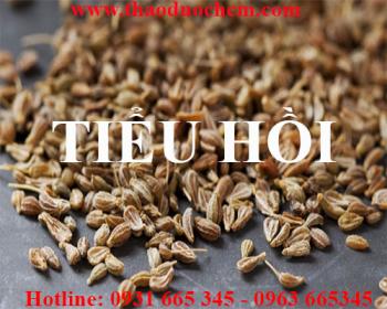 Mua bán tiểu hồi tại cần thơ rất tốt trong việc điều trị cảm cúm cảm lạnh